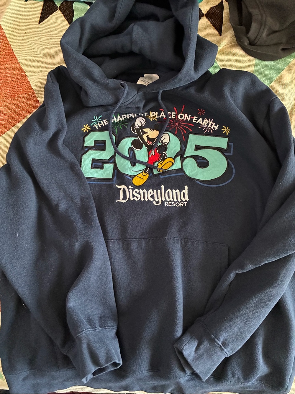 Disneyland Hoodie, Disney Navy Blue Large, Sweatshirt embroidery great condition